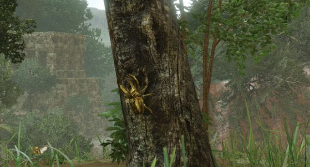 怪物猎人崛起里神圣独角仙的位置在哪里？这里有怪物猎人崛起神圣独角仙的位置说明