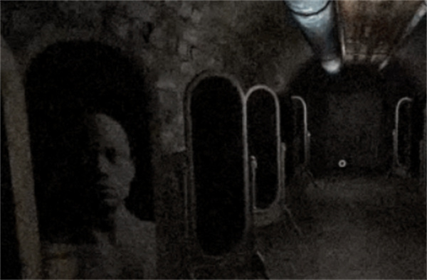 好评如潮的心理恐怖系列《不要害怕：精神病院》重磅回归！