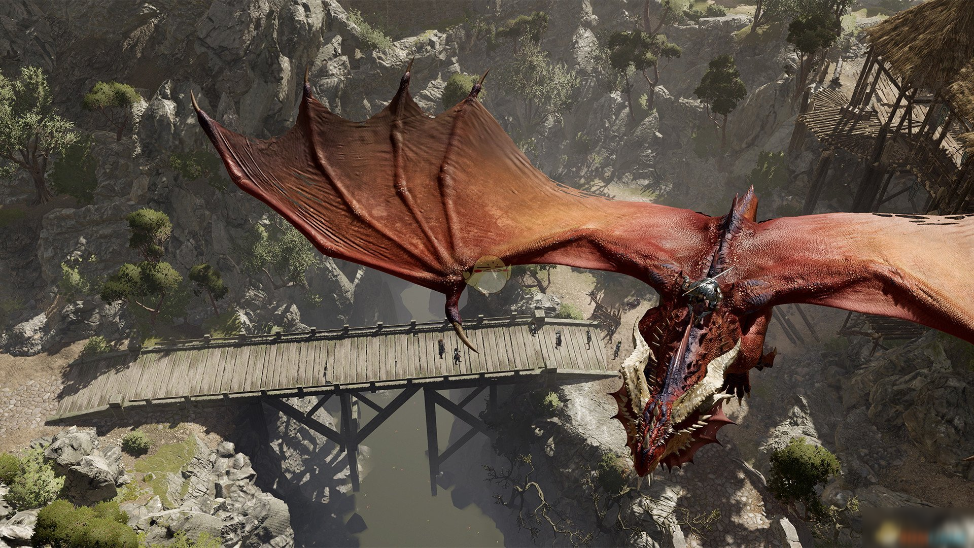 博德之门3游侠能够捕获哪些动物博德之门3游侠可捕获动物清单