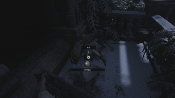 生化危机8中庭收集品的具体位置在哪生化危机8中庭收集物的位置指南