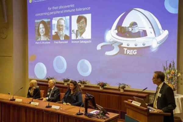 今年诺贝尔奖的“穿墙术”究竟是怎么回事？看这张漫画就能明白