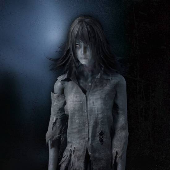 这女鬼依旧是风韵不减当年啊！《零：红蝶重制版》中的怨灵角色介绍