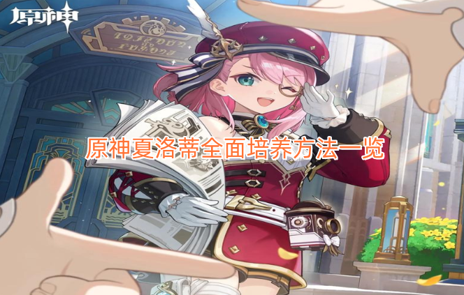 原神夏洛蒂全方位培养攻略汇总