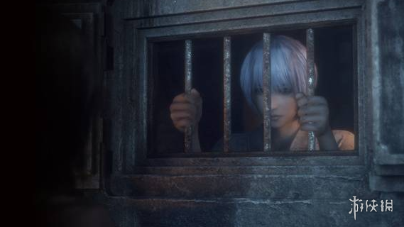 《零红蝶重制版》登场角色立花树月图鉴