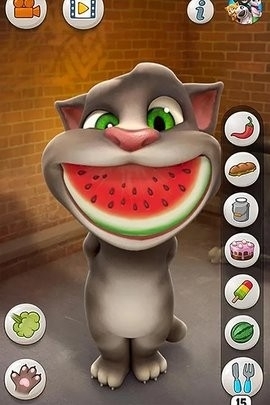 会说话的汤姆猫免费版图4