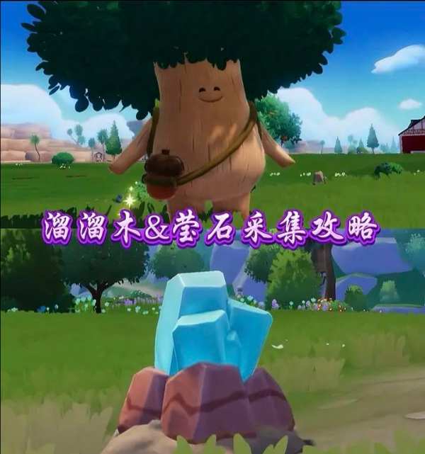 1月1日心动小镇中溜溜橡木与无暇荧石的具体位置在哪