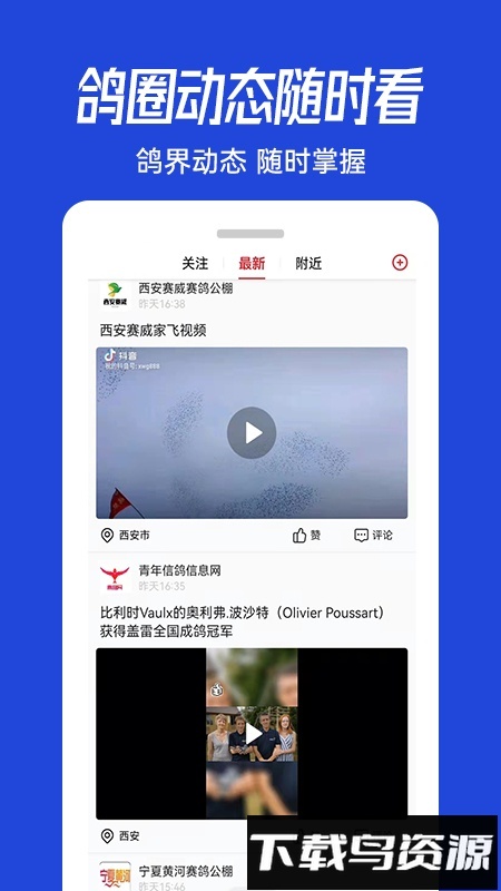 青鸽网手机版(3)