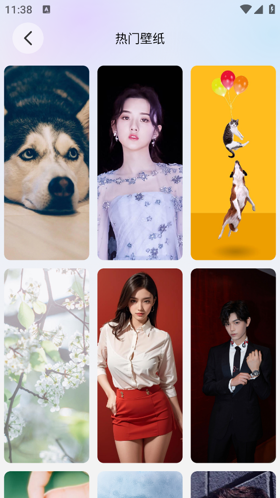 萌猫派对壁纸图2