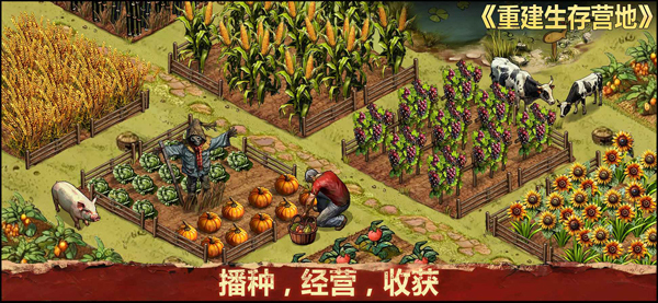 重建生存营地手机版图3