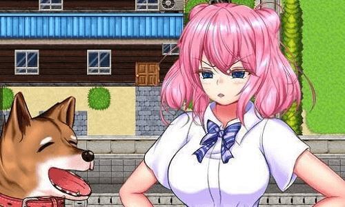 野良犬的寝室(1)