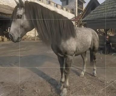 天国拯救2全马匹数据及获取途径指南附带每匹马匹图片