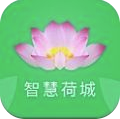 智慧荷城手机版
