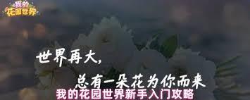 新手如何玩转我的花园世界