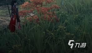 下一站江湖2里琴棋书画的提升方法有哪些