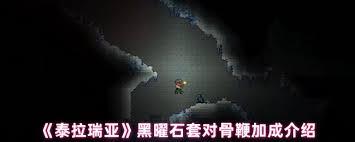 泰拉瑞亚里的迪朗达尔鞭子，它的强度处于什么水平呢