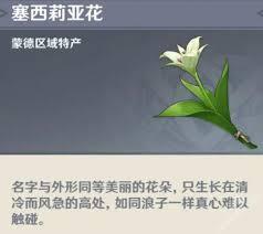 原神中塞西莉亚花的收集地点在哪里