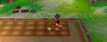 《牧场物语：风之繁华集市》蜜蜂养殖指南