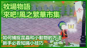 牧场物语风之繁华集市里抓昆虫的方法是怎样的