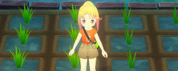 牧场物语风之繁华集市前期培育6星农作物的方法