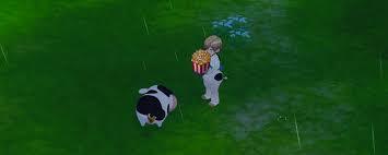 在牧场物语风之繁华集市里怎样钓鱼