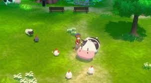 在牧场物语风之繁华集市的夏季，该去哪里捕捉昆虫呢