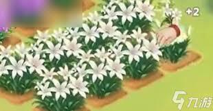 如何在我的花园世界里批量种植花卉