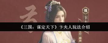 三国谋定天下中卞夫人的玩法攻略