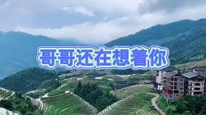 在中国，哪一种民间戏曲被赞誉为最美的乡村音乐呢