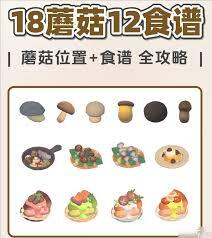 在心动小镇手游里，蘑菇要去哪里收集呢