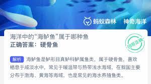 哪一种海洋动物可以用鱼的身体和鸟的翅膀来描述