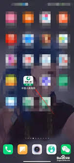 中国人寿寿险的红利该怎么领取