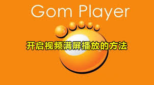 GOMPlayer如何设置视频全屏播放