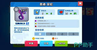 有哪些值得推荐的顶级弓箭手宠物呢