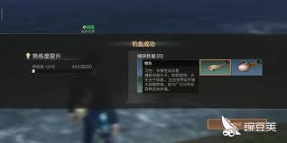 明日之后中钓鱼等级该如何提升