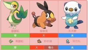 怎样才能捕捉到传说宝可梦