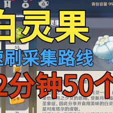原神白灵果的采集位置在哪里
