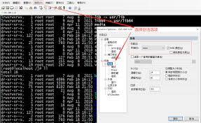 SecureCRT中如何配置黑色界面搭配白色字体