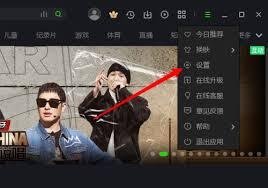重置爱奇艺电脑版设置项的方法是什么