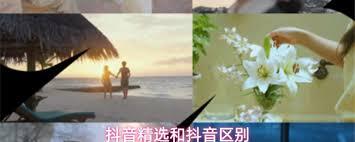 抖音精选和抖音之间存在哪些差异呢