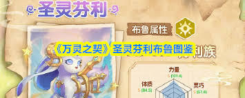 万灵之契里梦魇布鲁的图鉴具体指的是什么呢