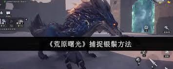 荒原曙光皇冠的作用是什么