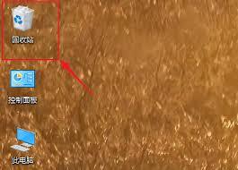 被promovie删掉的视频要怎么找回呢