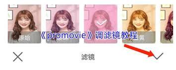 promovie里蓝色滤镜的调出方法是什么
