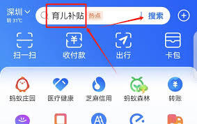 支付宝育儿补贴的申请方法是什么