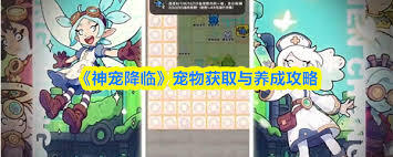 在神宠降临这个游戏里，玩家要怎样才能得到宠物呢