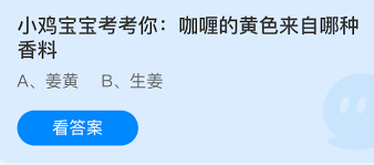 小鸡宝宝来考考你，咖喱呈现出的黄色是来自于哪一种香料呢
