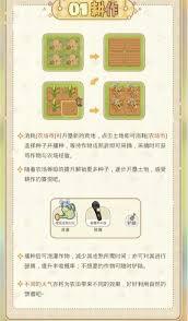 光与夜之恋里的丰果农场要怎么玩呢