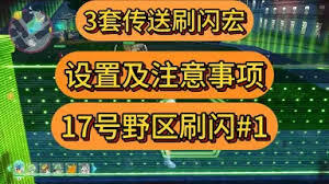在宝可梦传说ZA的19号野区，怎样才能刷到闪光宝可梦呢