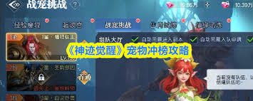 神迹觉醒里怎样提升宠物的评分呢