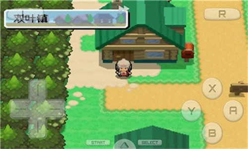 口袋妖怪白金离线版(3)